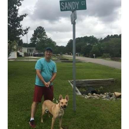 Sandy