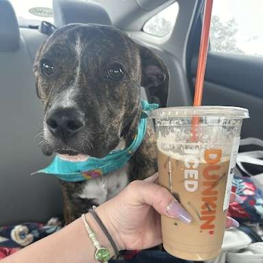 32 Dunkin