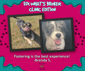 Foster story - Brenda