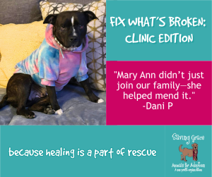 Mary Ann’s Journey Home