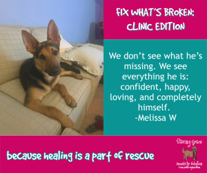 Rex's Story