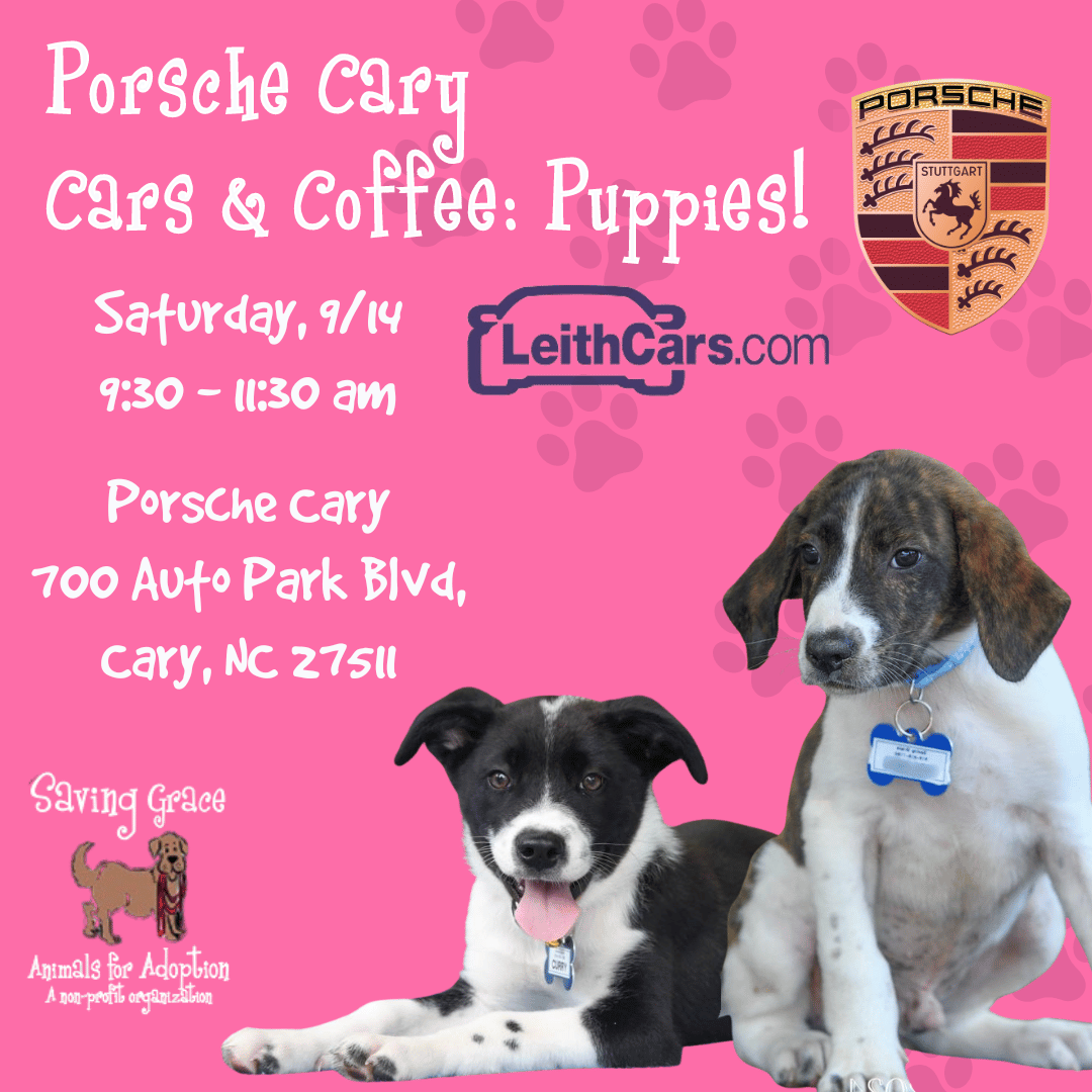 Porsche Cary Event Ad