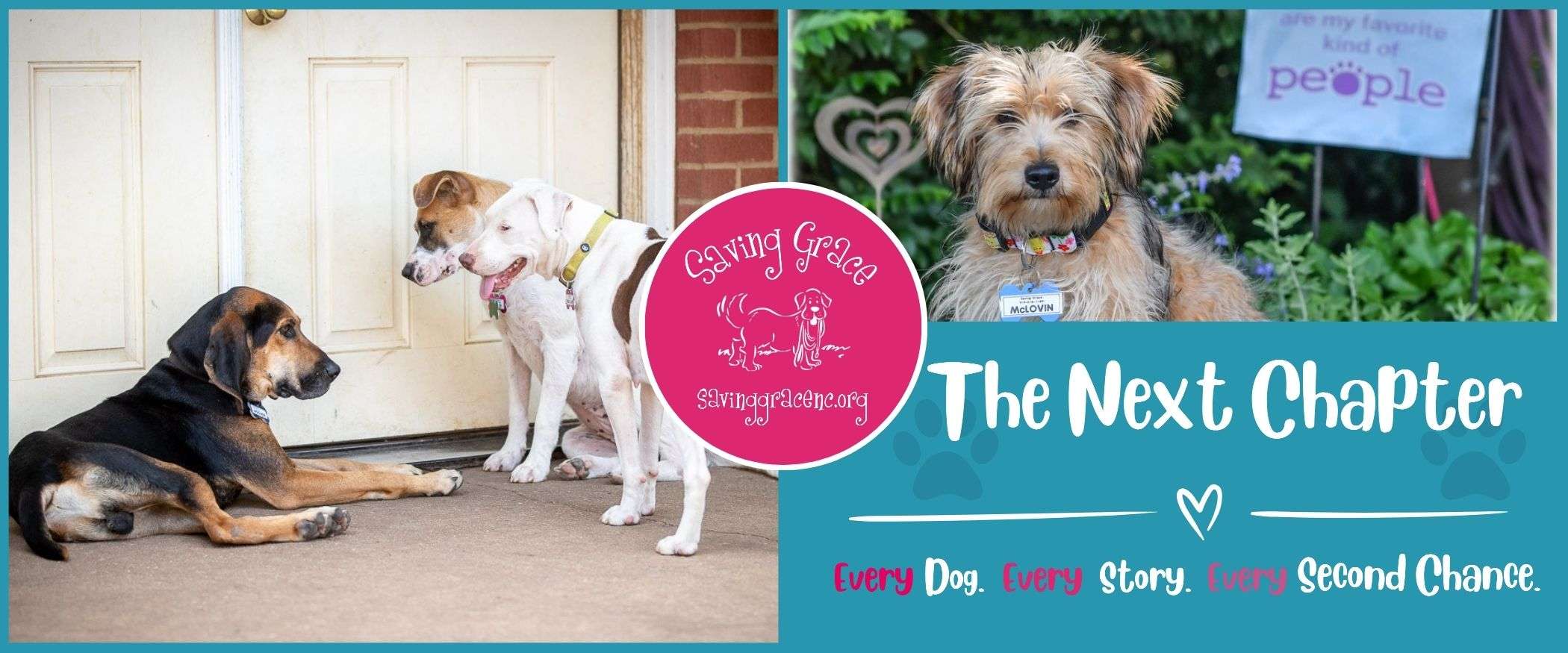 QGiv Landing Page (1) Every Dog. Every Story. Every Second Chance.