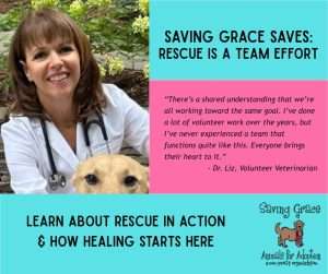 Rescue in action