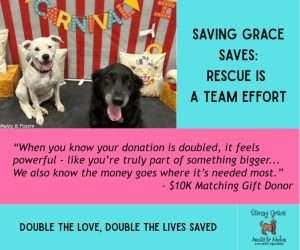Double the love, double the lives saved.